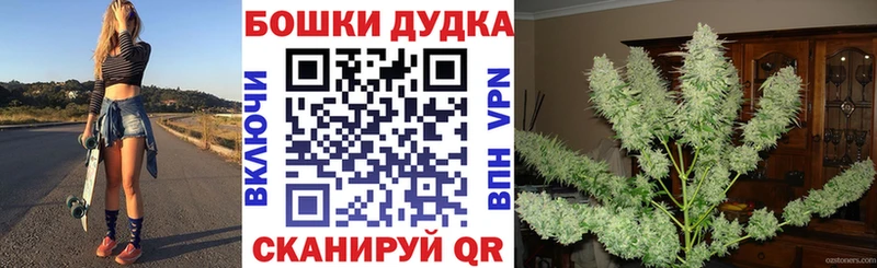 Марихуана Ковдор