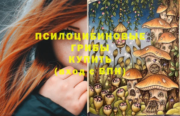 синтетический гашиш Карпинск