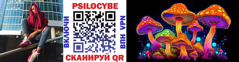 Псилоцибиновые грибы прущие грибы  Ковдор 